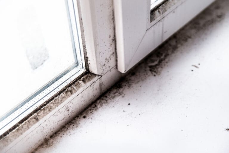 Schimmel an den Silikonfugen der Fenster Die Haus Seite