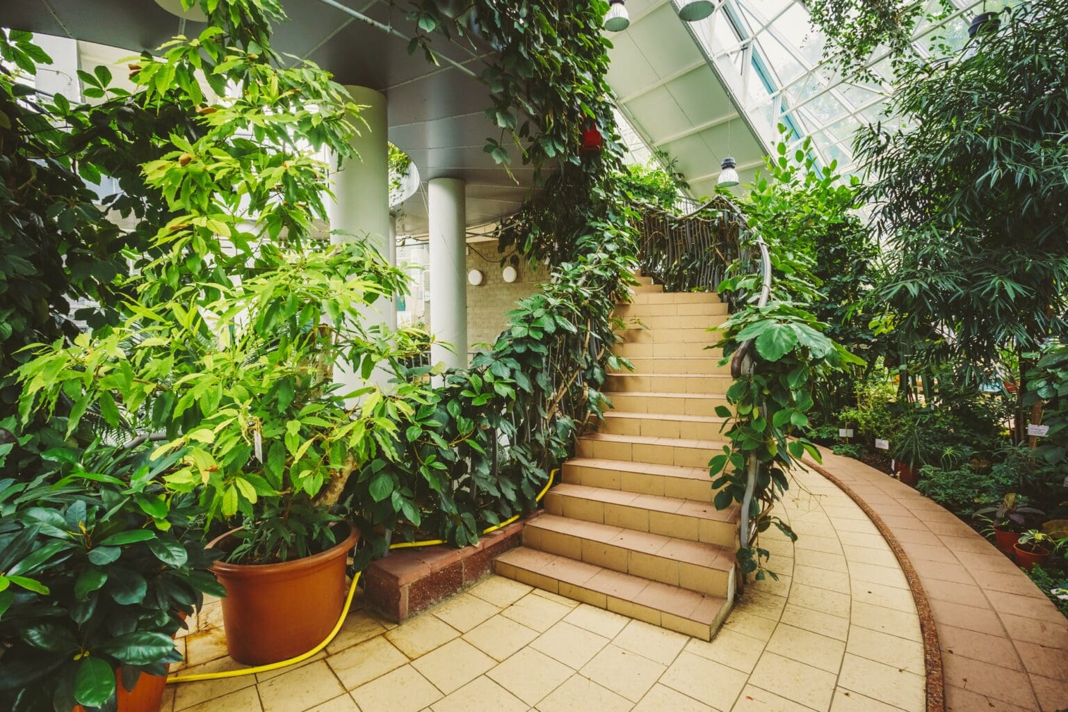 Diese 11 Pflanzen verwandeln ihren kalten Wintergarten in eine blühende