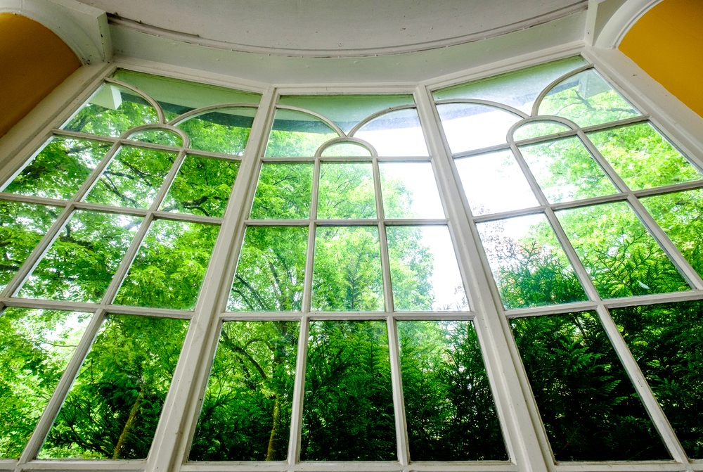 Blick durch antike Wintergartenfenster ins Grüne