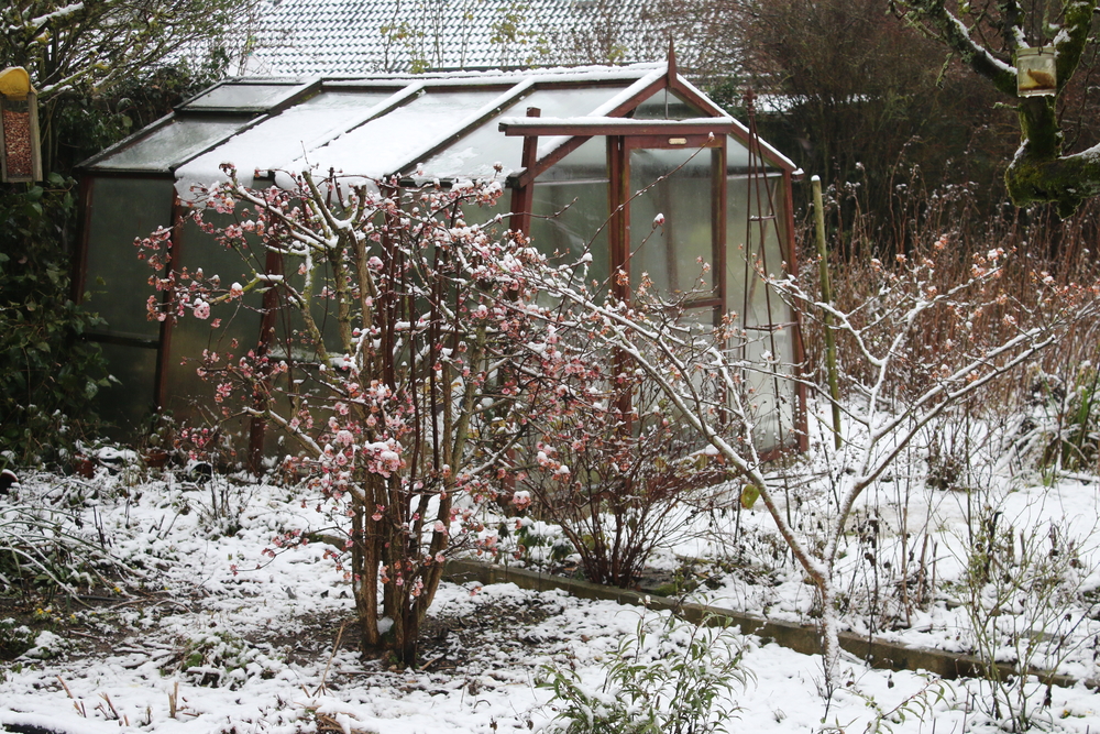 Wintergarten als Glashaus im Schnee